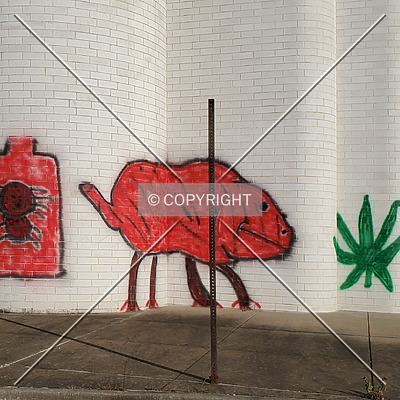 Jamestown Mall by Ryan Hildebrand