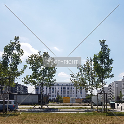 SOLID Home by Nephilim