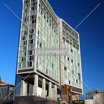 Standard Hotel by Royce Douglas