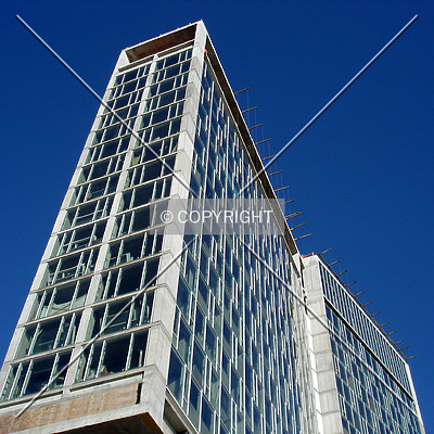 Standard Hotel by Royce Douglas