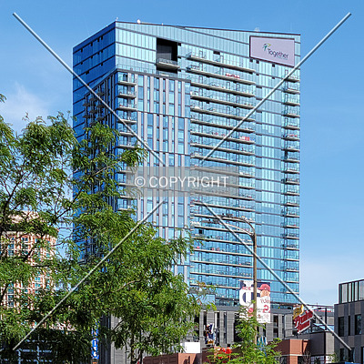 One Cardinal Way by Ryan Hildebrand