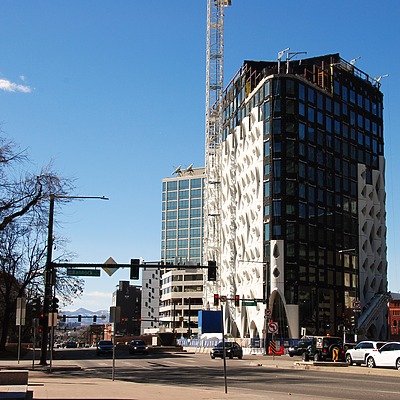 Populus by Brian LoBue