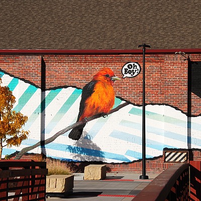 The Lofts at Denver Rock Drill Works by Brian LoBue