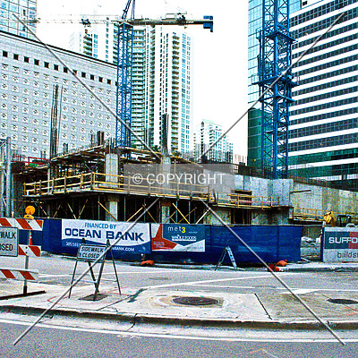 Monarc at Met 3 by Jorge Molina