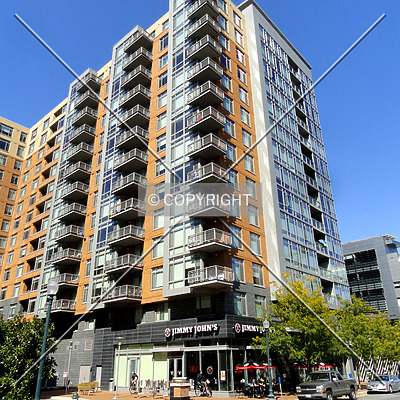 The Cameron by Chris Patriarca