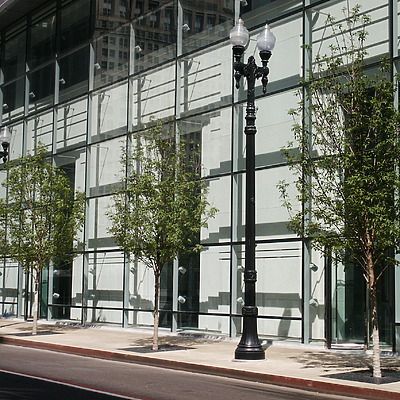 Citadel Center by Daniel Kieckhefer