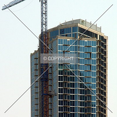 Avenue by Chris Patriarca