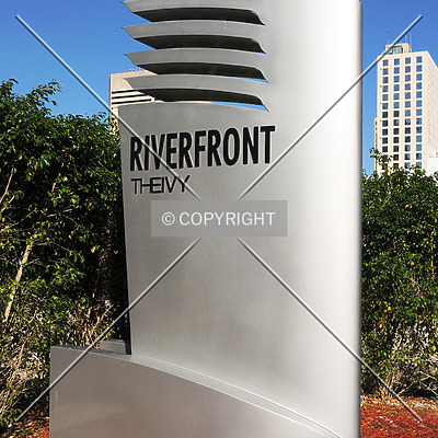 The Ivy by Jorge Molina