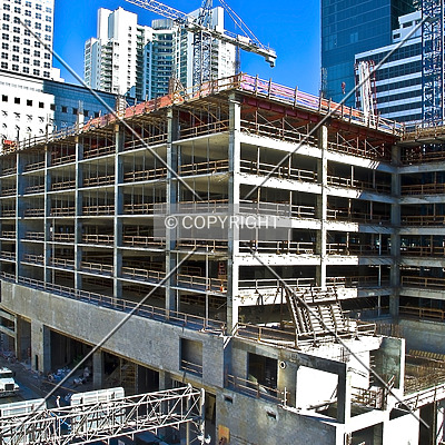 Monarc at Met 3 by Jorge Molina