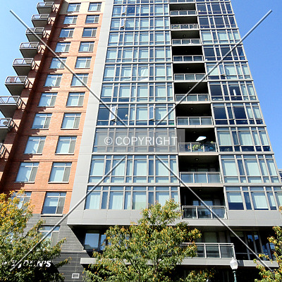 The Cameron by Chris Patriarca