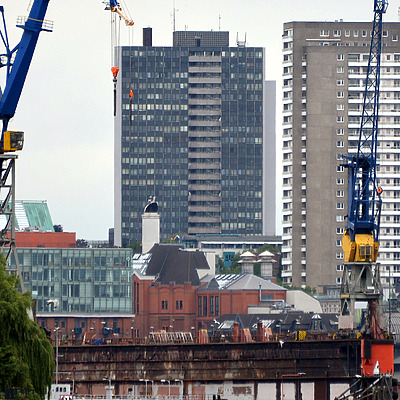 Palmaille 35 by John W. Cahill