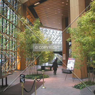 Continental Center by Nephilim