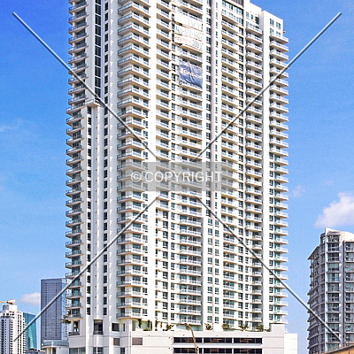 The Ivy by Jorge Molina