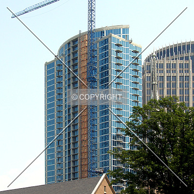 Avenue by Chris Patriarca