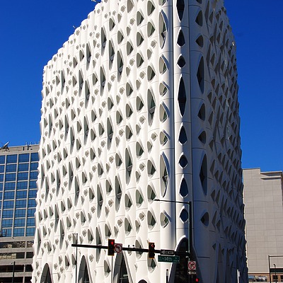 Populus by Brian LoBue