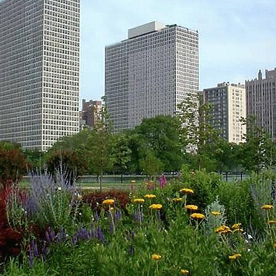 Regents Park North by Daniel Kieckhefer