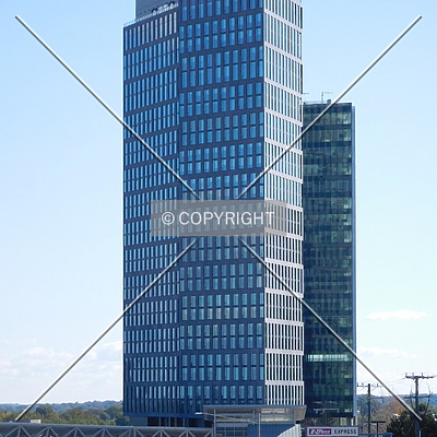 Vita by Chris Patriarca