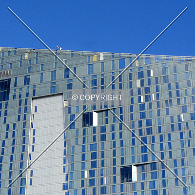 The Evo by Chris Patriarca