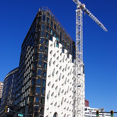 Populus by Brian LoBue