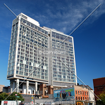 Standard Hotel by Royce Douglas