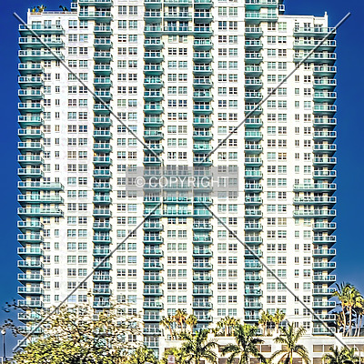 The Floridian by Jorge Molina