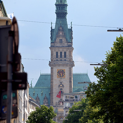 Hamburg City Hall by John W. Cahill