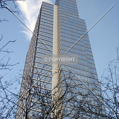 The Link by Royce Douglas