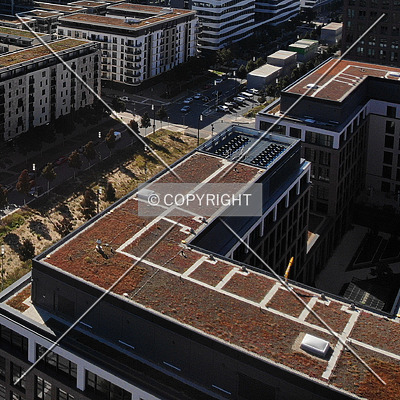 DB Brick by Nephilim