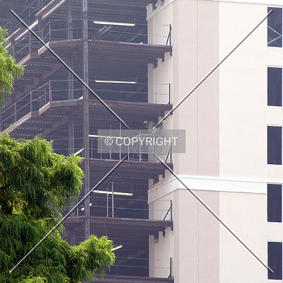 The Madison Charlotte by Chris Patriarca