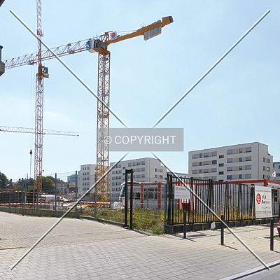 SOLID Home by Nephilim