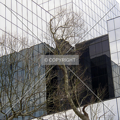 Jacobs Plaza by Chris Patriarca