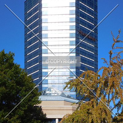 Sheraton Premiere at Tysons Corner by Chris Patriarca