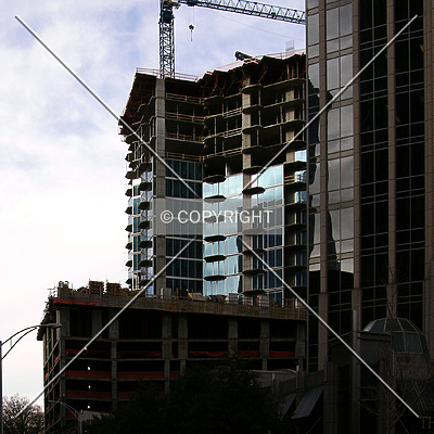 Avenue by Chris Patriarca