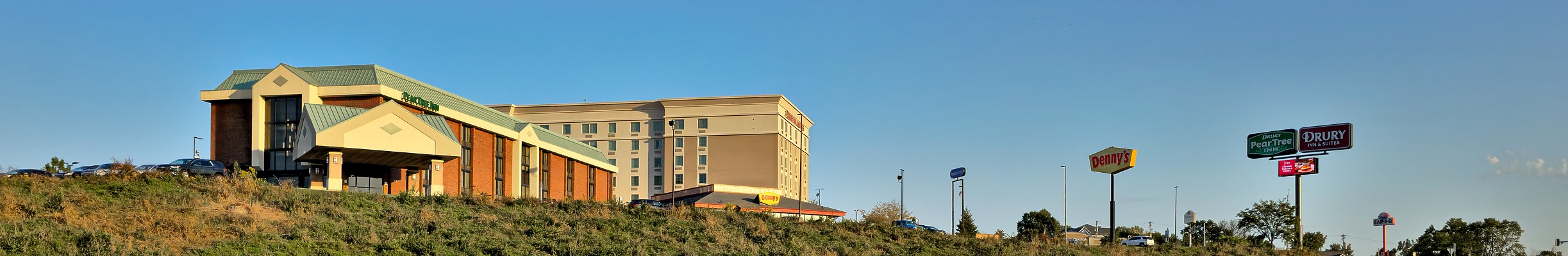 Arnold by Ryan Hildebrand