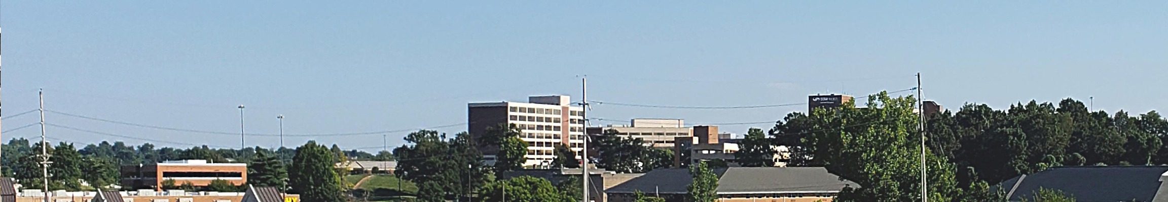 Bridgeton by Ryan Hildebrand