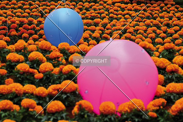 Girona by David Guija