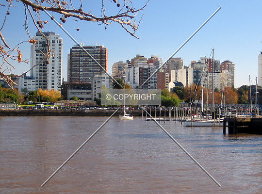 Olivos by Maximiliano Buono