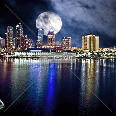 100 North Tampa by Jorge Molina