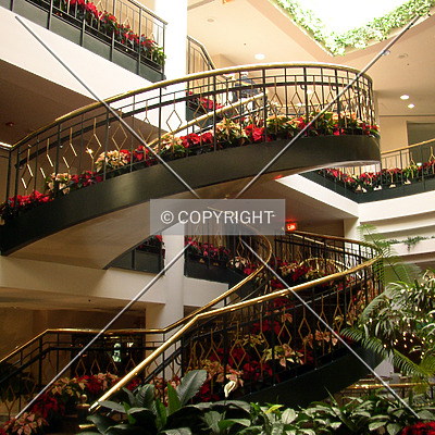 Sheraton Greensboro Hotel at Four Seasons by Chris Patriarca