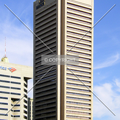 Transamerica Tower by Chris Patriarca