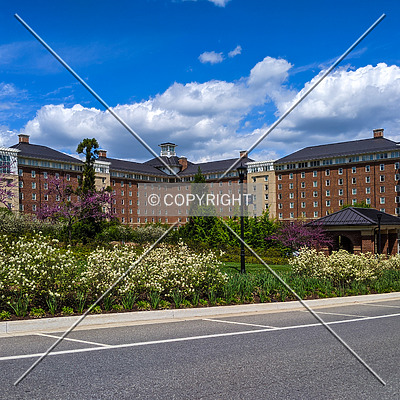 Residential Commons 1 by Chris Patriarca