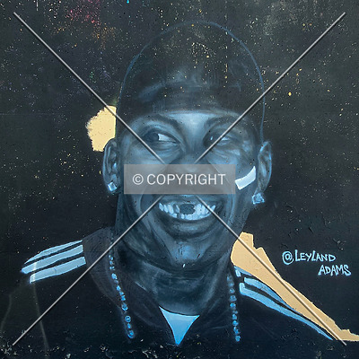 Saint Louis City Flood Wall (South Wall) by Ryan Hildebrand