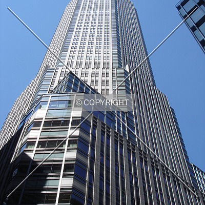 383 Madison Avenue by Royce Douglas