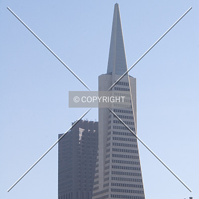 Transamerica Pyramid by Martin Bugajski