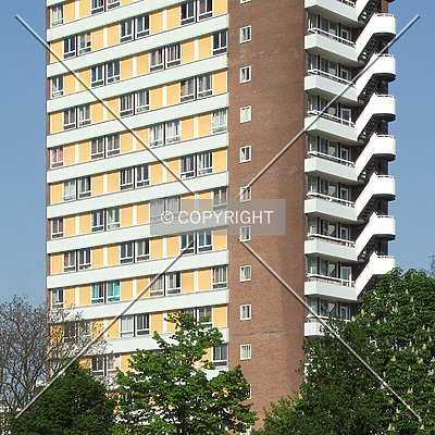SSHN Galgenveld by René Hogendijk