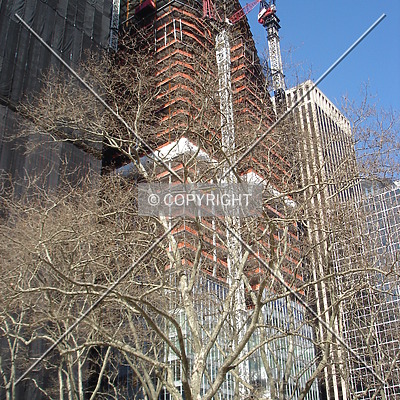 Bank of America Tower by Royce Douglas
