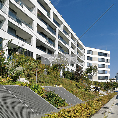 Praedium by Nephilim