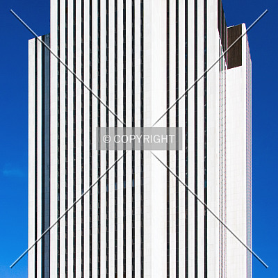 375 Pearl Street by Serdica