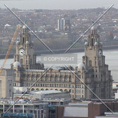 Royal Liver Building by Florian Barbier
