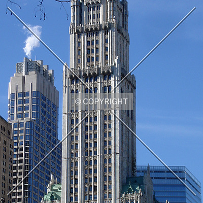 Woolworth Building by Royce Douglas